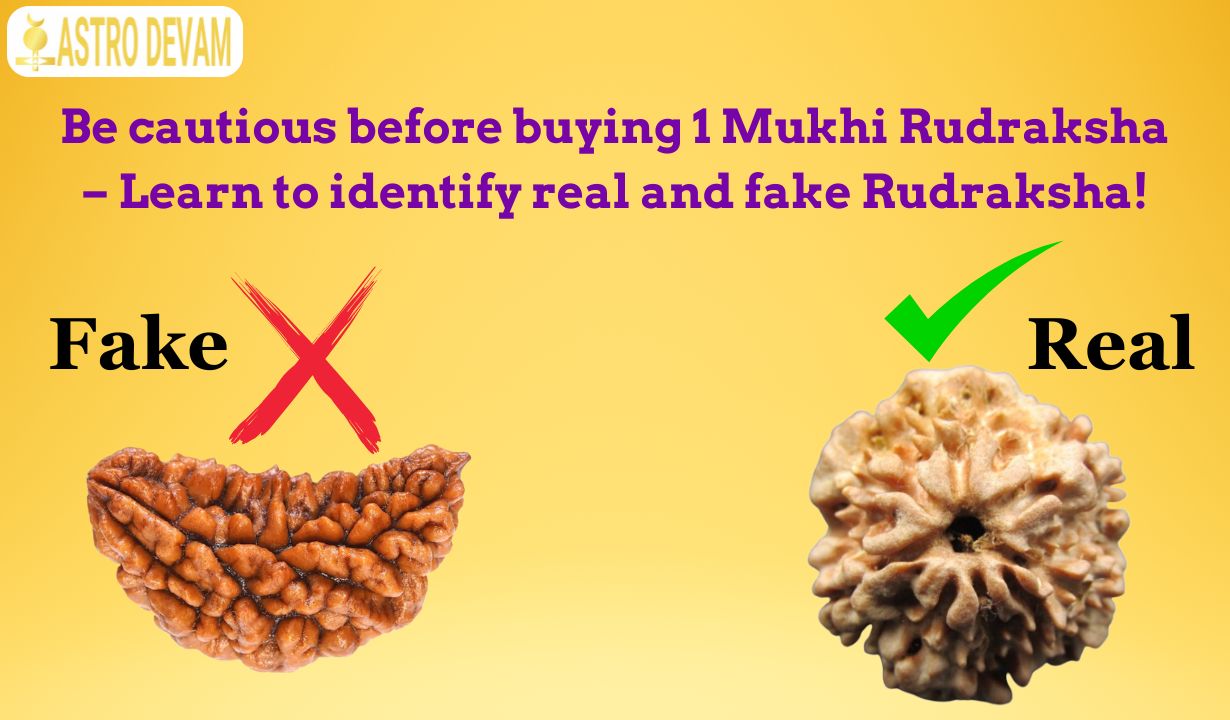 Original Rudraksha Uses & Benefits